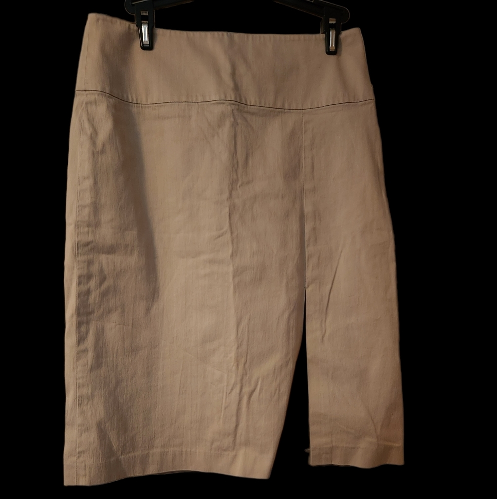 Banana Republic Skirt